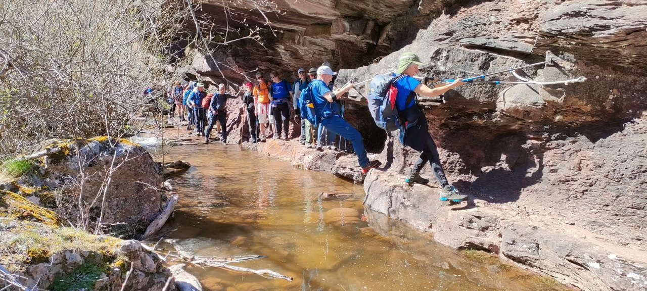 WhatsApp Image 2026-04-08 at 07.40.56 (5)